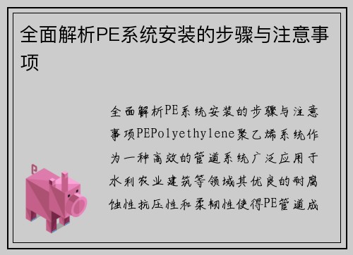 全面解析PE系统安装的步骤与注意事项